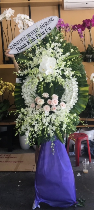 HOA Chia Buồn MS59
