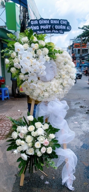 HOA CHIA BUỒN MS66