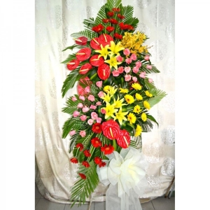 HOA CHÚC MỪNG HCM36