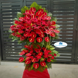 HOA CHÚC MỪNG HCM49