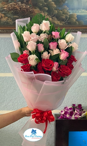 LỜI CỦA GIÓ HB03