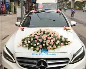 Xe Hoa Cưới - Sánh Đôi